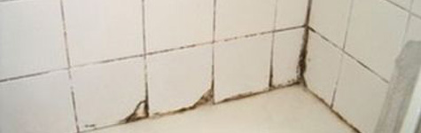 Uitrusten journalist Bukken Schimmel in badkamer verwijderen - Beton waterdicht maken