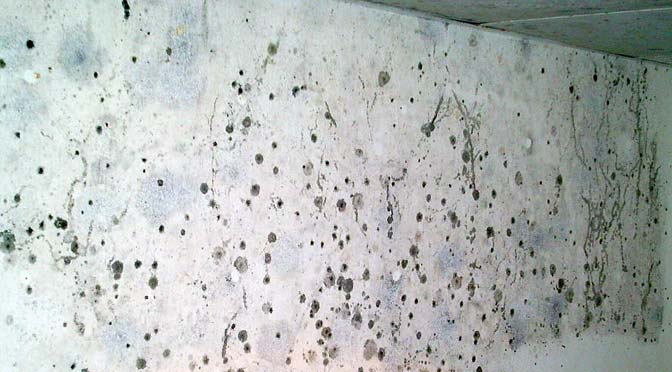 Schimmel van betonnen muur - Beton waterdicht maken